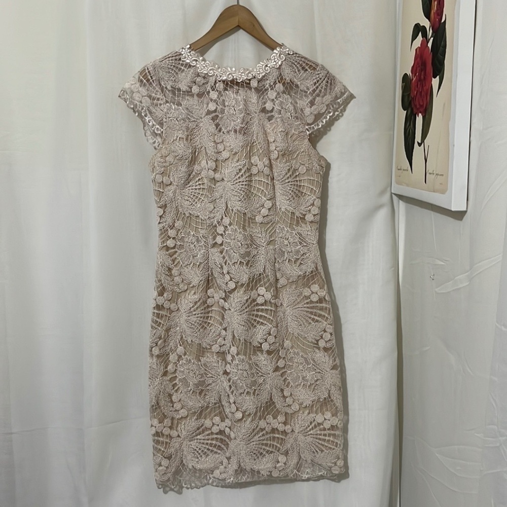 Soieblu Pink Lace Sleeveless Dress with Nude Underlay a175